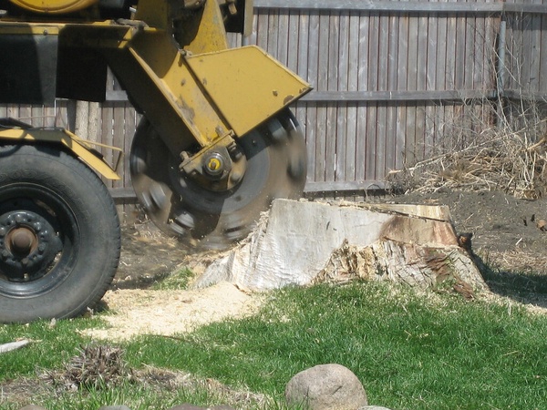 Medina Stump Grinding