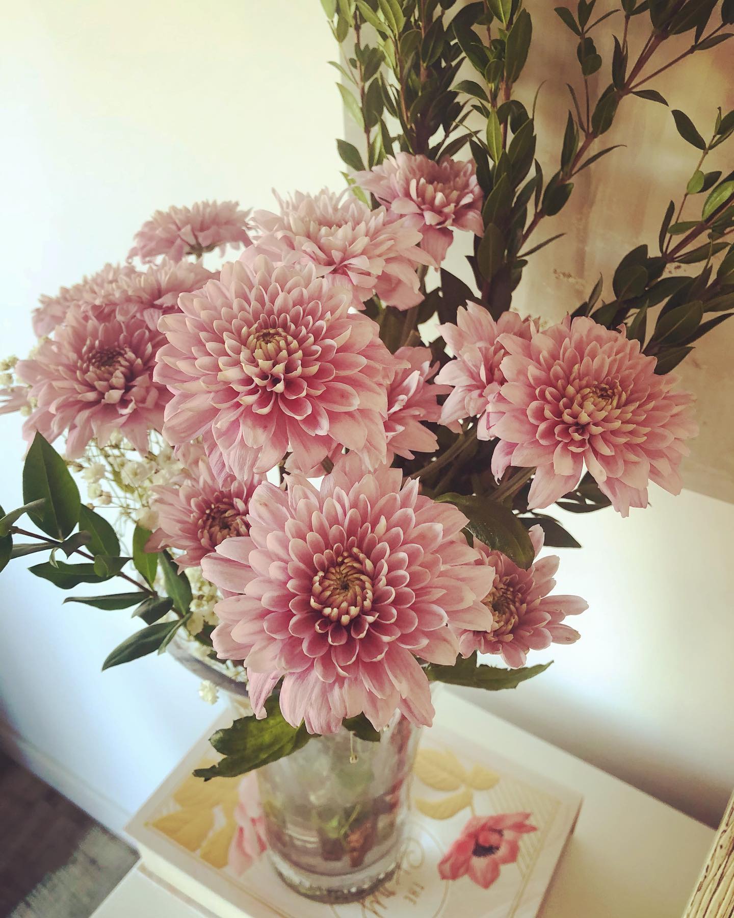 Athenas Garden Co