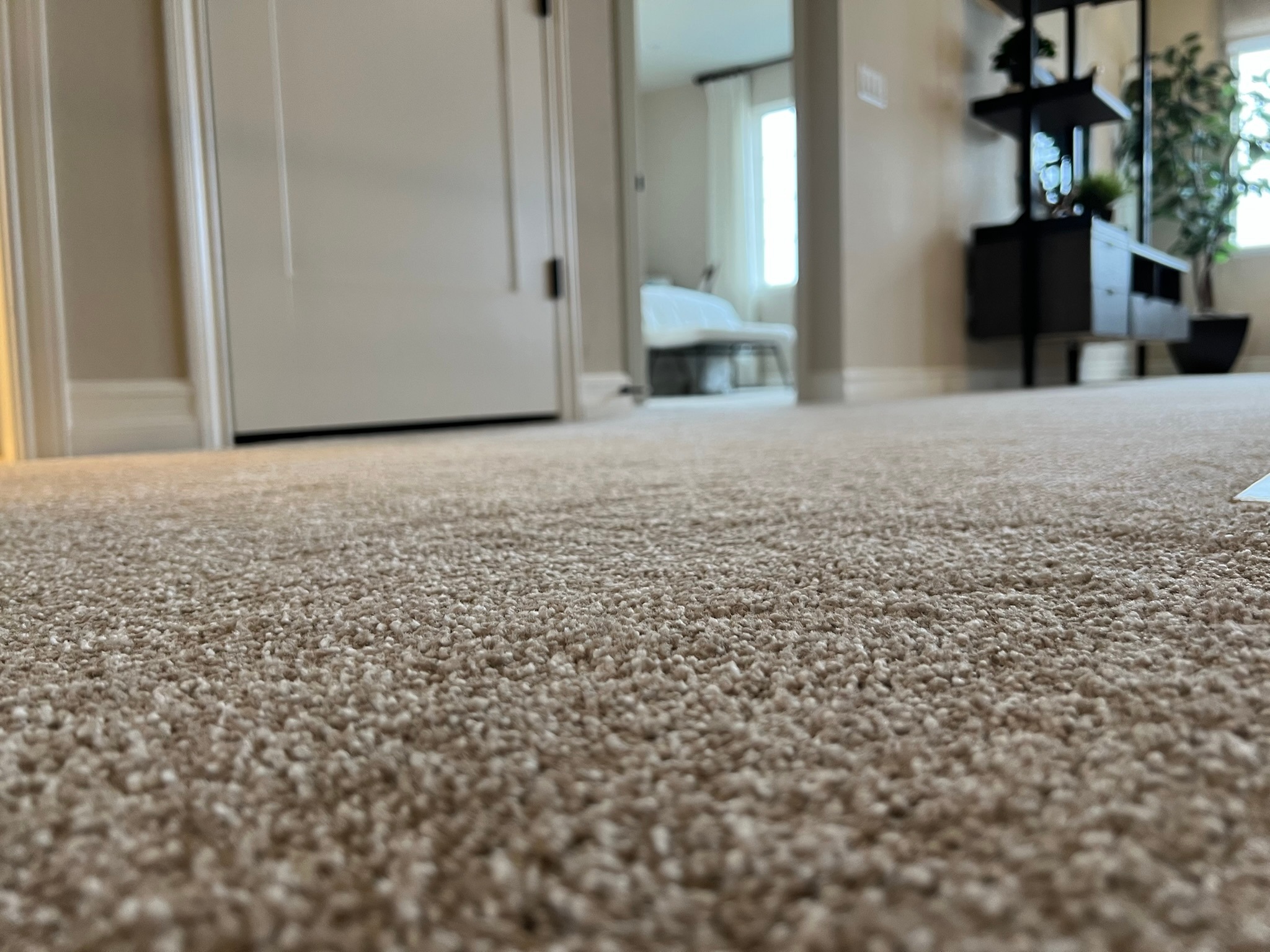 Overland Park Flooring