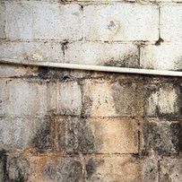Novi Mold Inspection LLC business image in Novi, MI