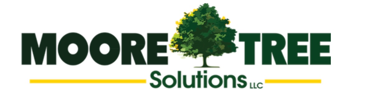Moore Tree solutions