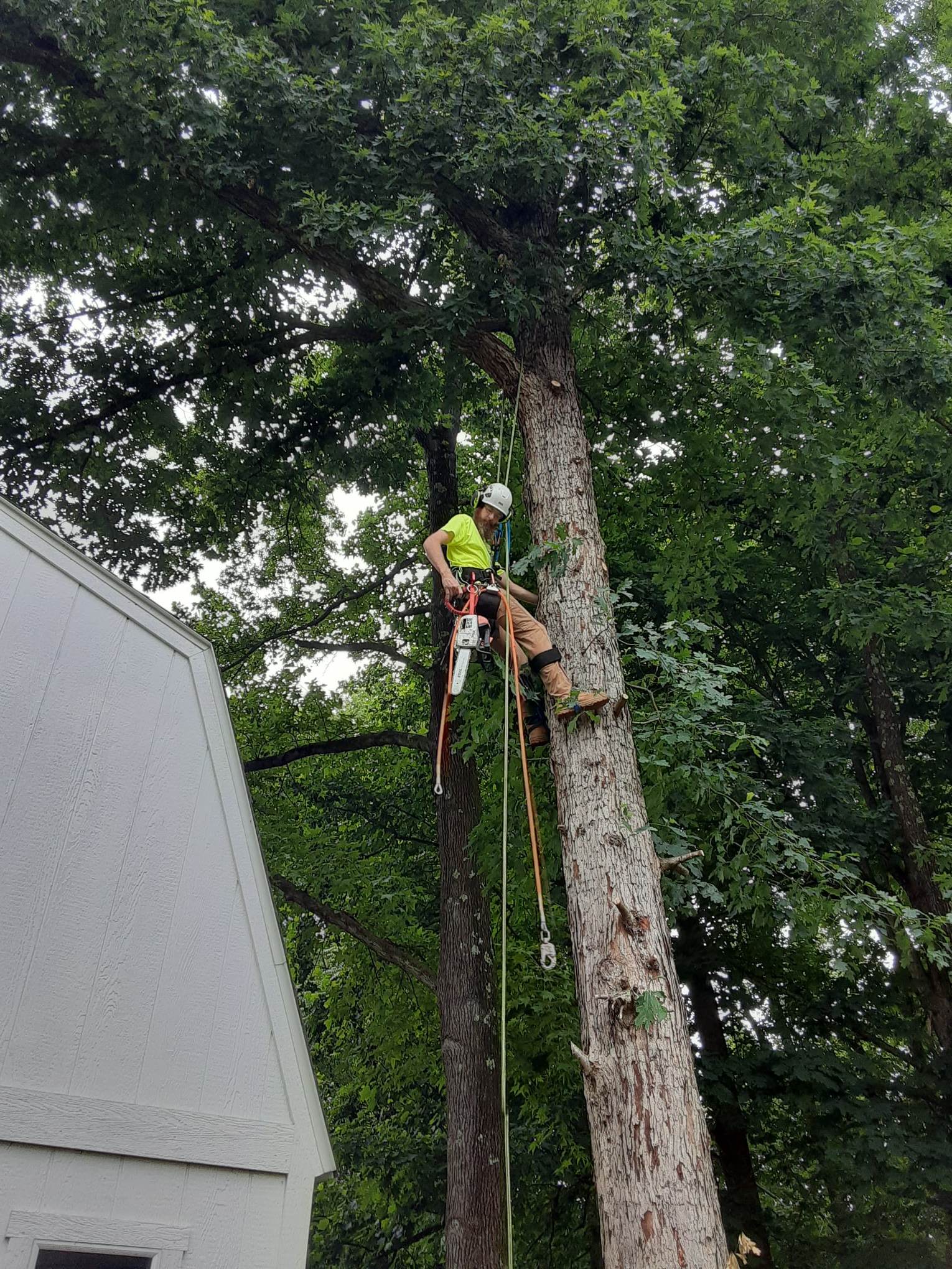 JBeez Outdoor Experts LLC